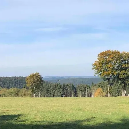 Modernes Mit Zentralheizung In Willingen, Cleaning Included شقة فيلنغن