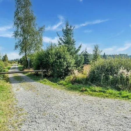 Modernes Mit Zentralheizung In Willingen, Cleaning Included * فيلنغن