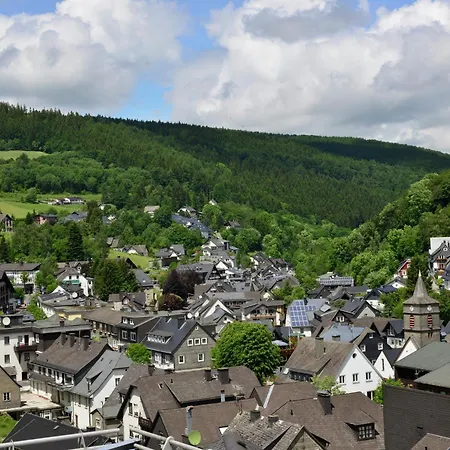 Modernes Mit Zentralheizung In Willingen, Cleaning Included شقة فيلنغن