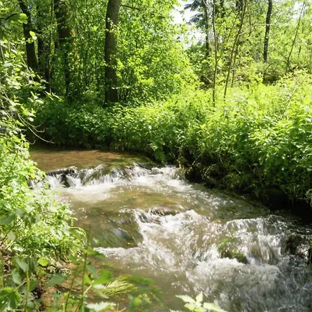 Modernes Mit Zentralheizung In Willingen, Cleaning Included