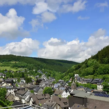 Modernes Mit Zentralheizung In Willingen, Cleaning Included شقة *