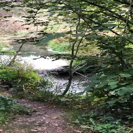 Modernes Mit Zentralheizung In Willingen, Cleaning Included شقة فيلنغن