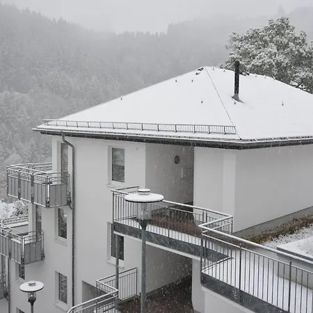 شقة Modernes Mit Zentralheizung In Willingen, Cleaning Included فيلنغن