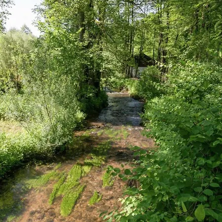 Modernes Mit Zentralheizung In Willingen, Cleaning Included